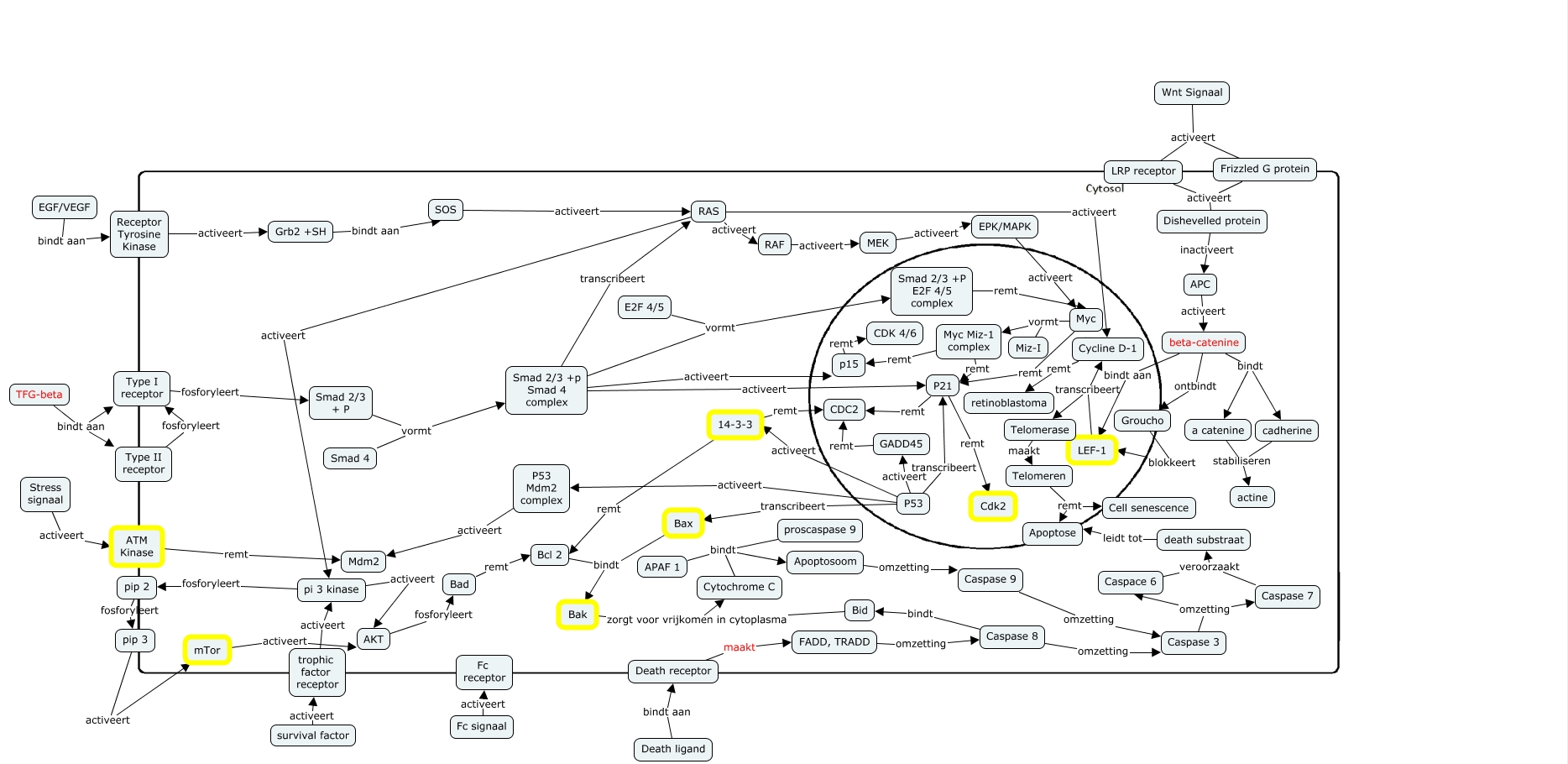 Cmap Met Achtergrond